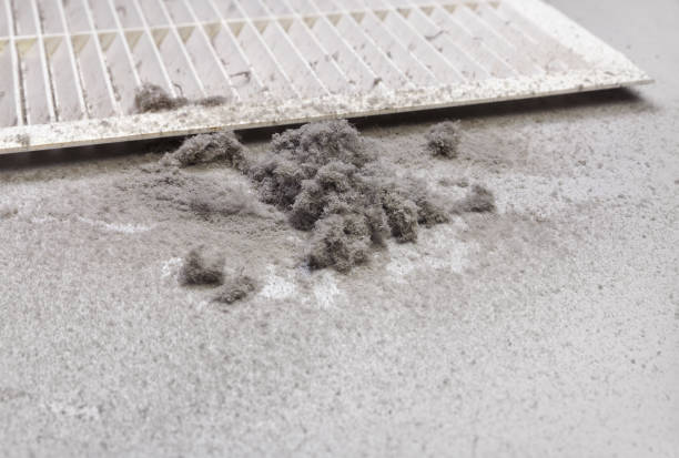 Best Air Duct Mold Removal  in Purvis, MS