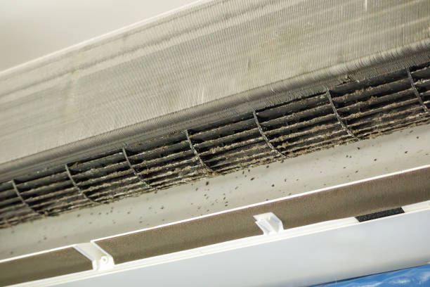 Best Best Air Duct Cleaning Company  in Purvis, MS